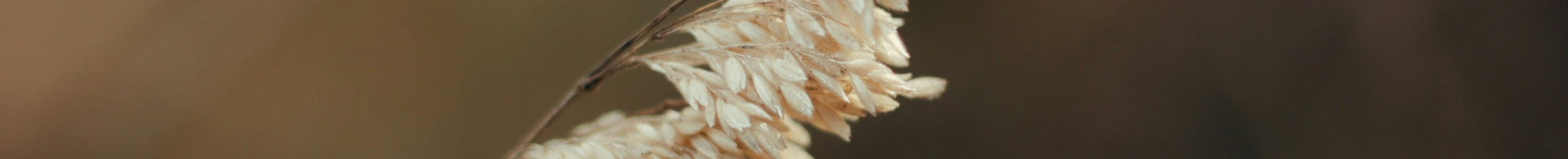 Detailaufnahme der Manufaktur