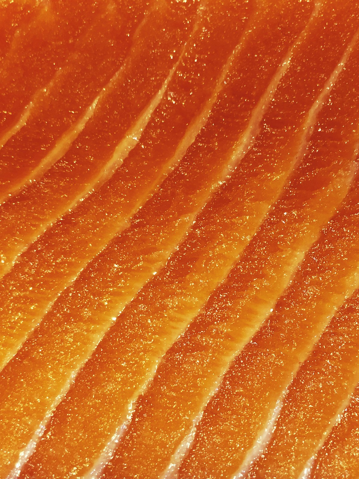 extreme nahaufnahme von glaenzendem, rotorangem lachsfilet fuer alphavital astaxanthin