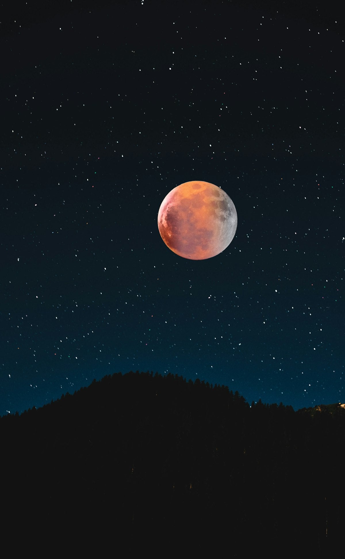 alphavital Vollmond am sternenklaren Nachthimmel ueber dunkler Berglinie