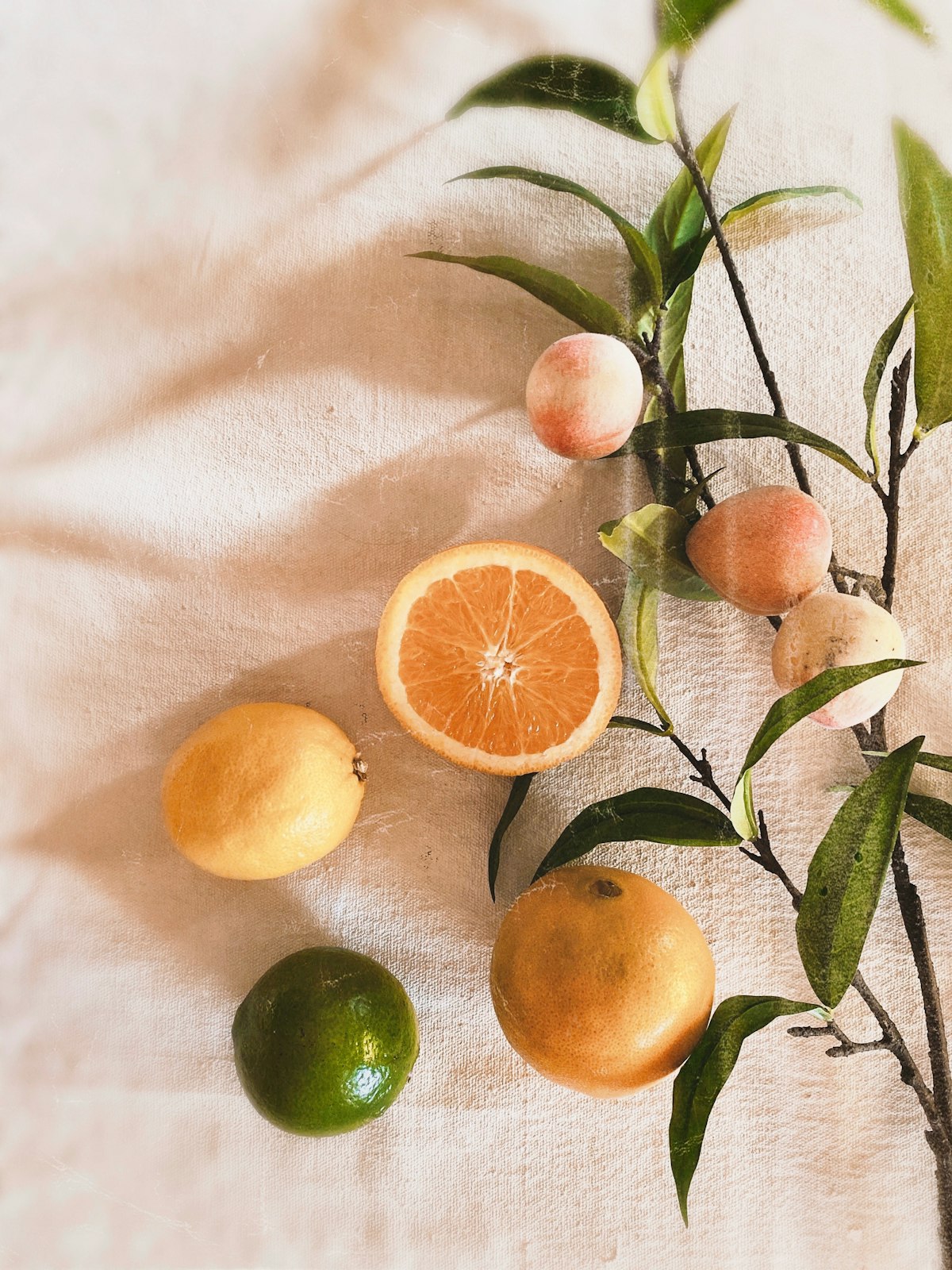 frische zitrone orange und limette mit zweig auf leinen - alphavital
