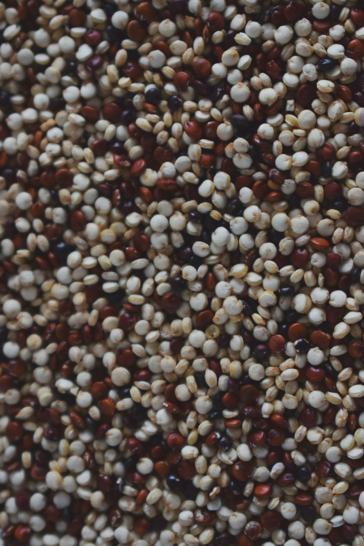 nahaufnahme dreifarbiger quinoa-koerner fuer alphavital natura b